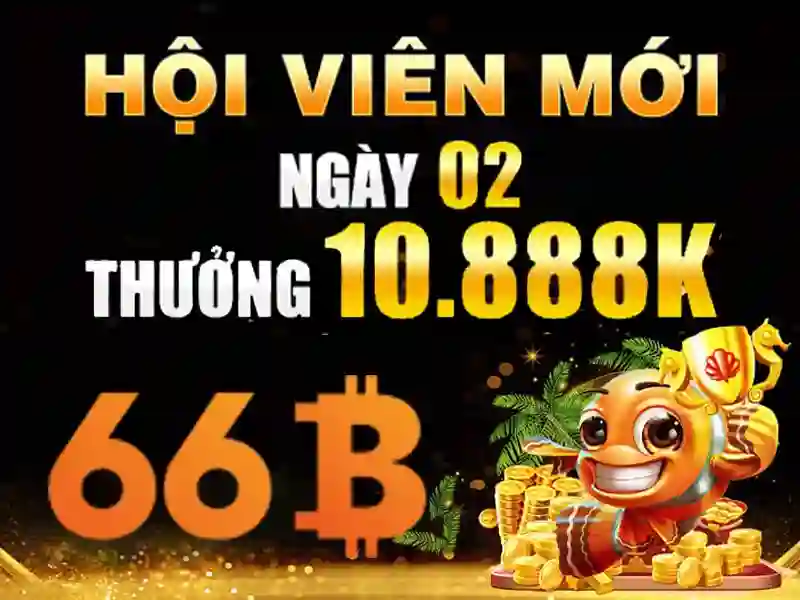 66b có hợp pháp không – Đánh giá chi tiết và câu chuyện thương hiệu